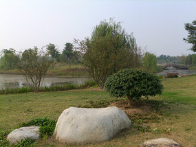Old Yellow River Wetlands Adventures