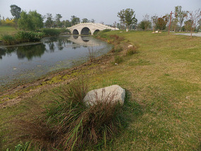 Old Yellow River Wetlands Adventures