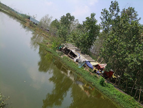Old Yellow River Wetlands Adventures