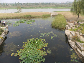 Old Yellow River Wetlands Adventures