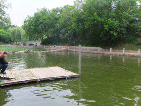 The Peach Tree Park Adventures