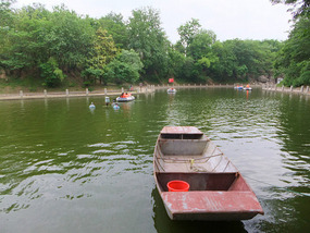 The Peach Tree Park Adventures