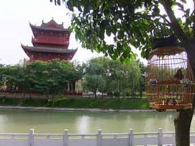 The Lonely Temple In A Field Adventures