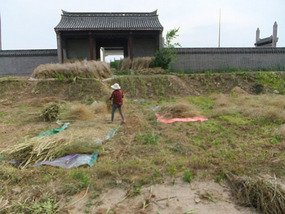 The Lonely Temple In A Field Adventures