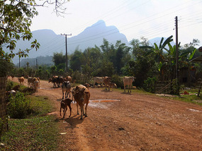 The Beautiful Karst Peak & Pack Thief  Ride