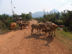 The Beautiful Karst Peak & Pack Thief  Ride