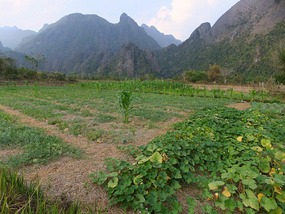 The Beautiful Karst Peak & Pack Thief  Ride