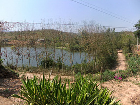 Flight To The Border & China Mengla Walks