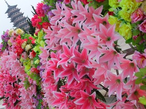 Yangzhou Daming Temple Adventure