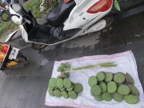 Yangzhou Daming Temple Adventure