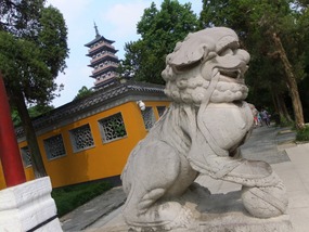 Yangzhou Daming Temple Adventure