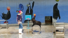 A Day At The Zoo With My Students