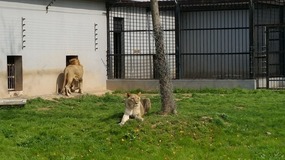 A Day At The Zoo With My Students