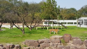 A Day At The Zoo With My Students