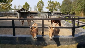 A Day At The Zoo With My Students