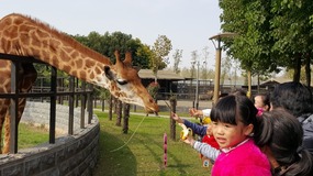 A Day At The Zoo With My Students