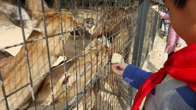 A Day At The Zoo With My Students