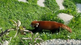 A Day At The Zoo With My Students
