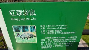 A Day At The Zoo With My Students