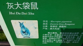 A Day At The Zoo With My Students