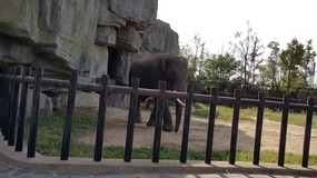 A Day At The Zoo With My Students