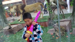 A Day At The Zoo With My Students