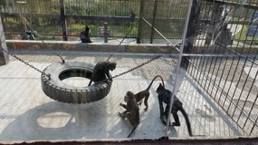 A Day At The Zoo With My Students