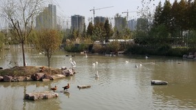 A Day At The Zoo With My Students