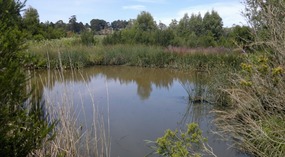 Back With The Family In Gippsland