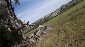 Back With The Family In Gippsland