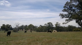Back With The Family In Gippsland
