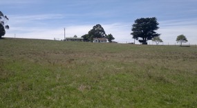 Back With The Family In Gippsland