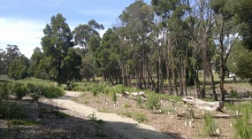 Back With The Family In Gippsland