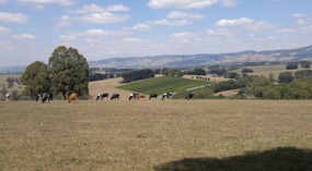 Back With The Family In Gippsland