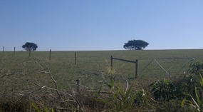 Back With The Family In Gippsland