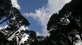 Back With The Family In Gippsland