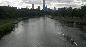 Back In Melbourne With The Gang 