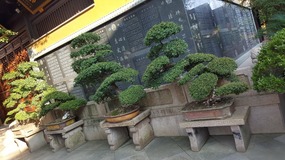 Songjiang Ancient Town