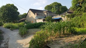 Zhujiajiao Lake Walk For Tings Birthday