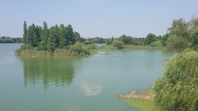 Zhujiajiao Lake Walk For Tings Birthday