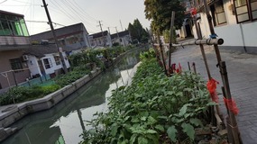 Zhujiajiao Lake Walk For Tings Birthday
