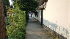 Zhujiajiao Lake Walk For Tings Birthday
