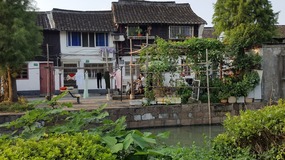 Zhujiajiao Lake Walk For Tings Birthday