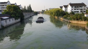 Zhujiajiao Lake Walk For Tings Birthday