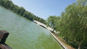 Zhujiajiao Lake Walk For Tings Birthday