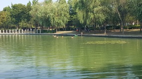 Zhujiajiao Lake Walk For Tings Birthday