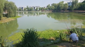 Zhujiajiao Lake Walk For Tings Birthday