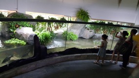 Shanghai Zoo Adventure
