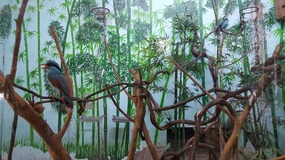 Shanghai Zoo Adventure