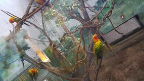 Shanghai Zoo Adventure